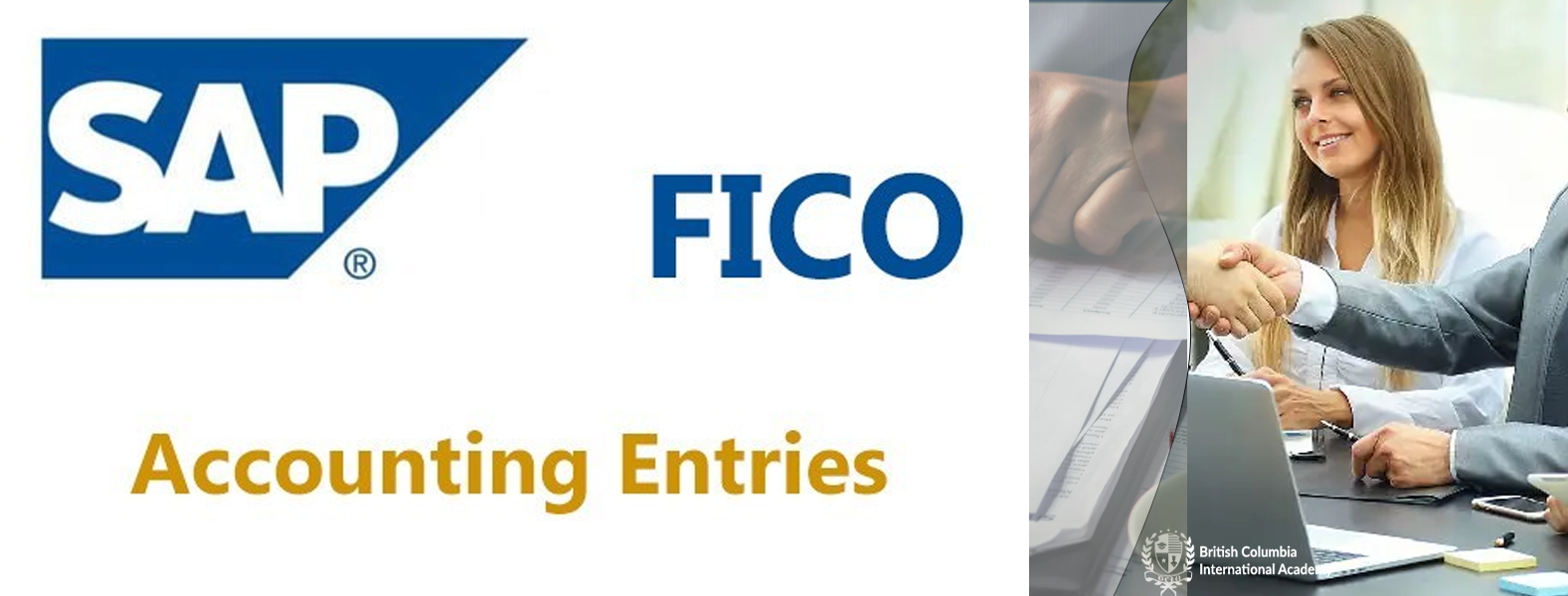 we provide the best sap fico accounting software training  programme classes in abudhabi dubai sharjah ajman | UAE. the ai integrated training classes conducted by well experienced trainers